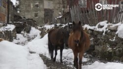 Игра с опасностью: Ушгули. Грузия