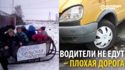 Жители села в Омской области устали ждать автобуса и организовали "маршрутку" - лошадь с санями
