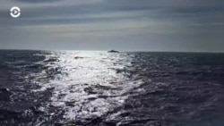 Новости. Коротко