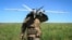 В России в результате ночной атаки украинских военных погибли два человека погибли. Еще четверо погибших – в оккупированной Горловке