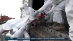 Новости. Коротко