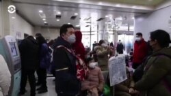 Новости. Коротко