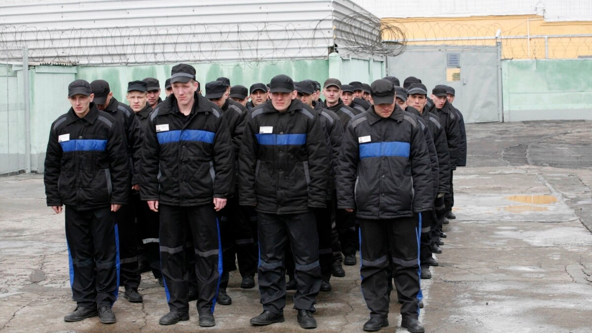 Где находится колонии общего режима. Фку ик 17 красноярск. новотроицк зона строгого режима 5. исправительная колония строгого режима красноярск. ик-6 люга.
