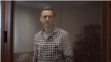 Аркадий Дубнов об одновременных судах Навального