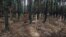 UKRAINE -- Mass burials of people and soldiers of the Armed Forces near Izyum, September 15, 2022