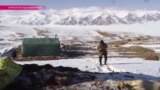 "Черные старатели": как в Кыргызстане незаконно добывают золото