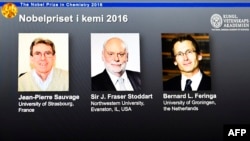 Лауреаты Нобелевской премии по химии Жан-Пьер Соваж (Франция), сэр Фрейзер Стоддарт (США) и Бернард Феринга (Нидерланды)