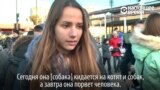 В Харькове 17-летняя студентка-медик натравила бультерьера на котенка и сняла это на видео