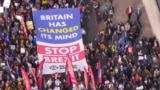 Anti_brexit protests in London teaser 