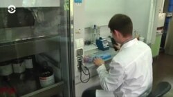 Новости. Коротко