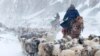 China -- Kazakhs herd their sheep amid a heavy snowfall in Yili, Xinjiang Uighur Autonomous Region, March 15, 2015
