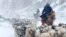 China -- Kazakhs herd their sheep amid a heavy snowfall in Yili, Xinjiang Uighur Autonomous Region, March 15, 2015