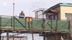 Новости. Коротко