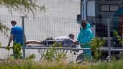 (Не)обязательная вакцинация и "избирательность" COVID-19. Вечер с Игорем Севрюгиным
