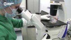 Российская вакцина от COVID-19: прививки будут делать бюджетникам в октябре