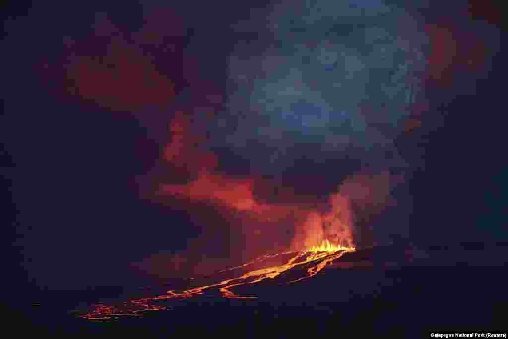 На фото - извергающийся вулкан Вольф, который располагается на на одном из Галапогосских островов в Эквадоре. Извержение произошло в конце мая, поставив под угрозу множество редких видов животных, обитающих только там
