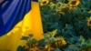 Жительницу Севастополя заставили извиняться за фотографии с желто-голубыми предметами
