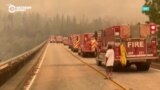 Пожары на западе США: горят Калифорния, Орегон и Вашингтон
