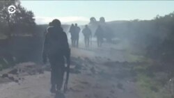 Новости. Коротко