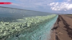Европа закрывает пляжи Балтийского моря из-за цианобактерий