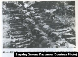 Иллюстрация из статьи Зенона Позняка о расстрелах в Куропатах. Обнаруженные бедренные кости 52 человек и 59 черепов. Из архива Зенона Позняка