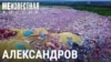 "Везут туда, где молчат". Как жители Александрова охраняют город от московского мусора