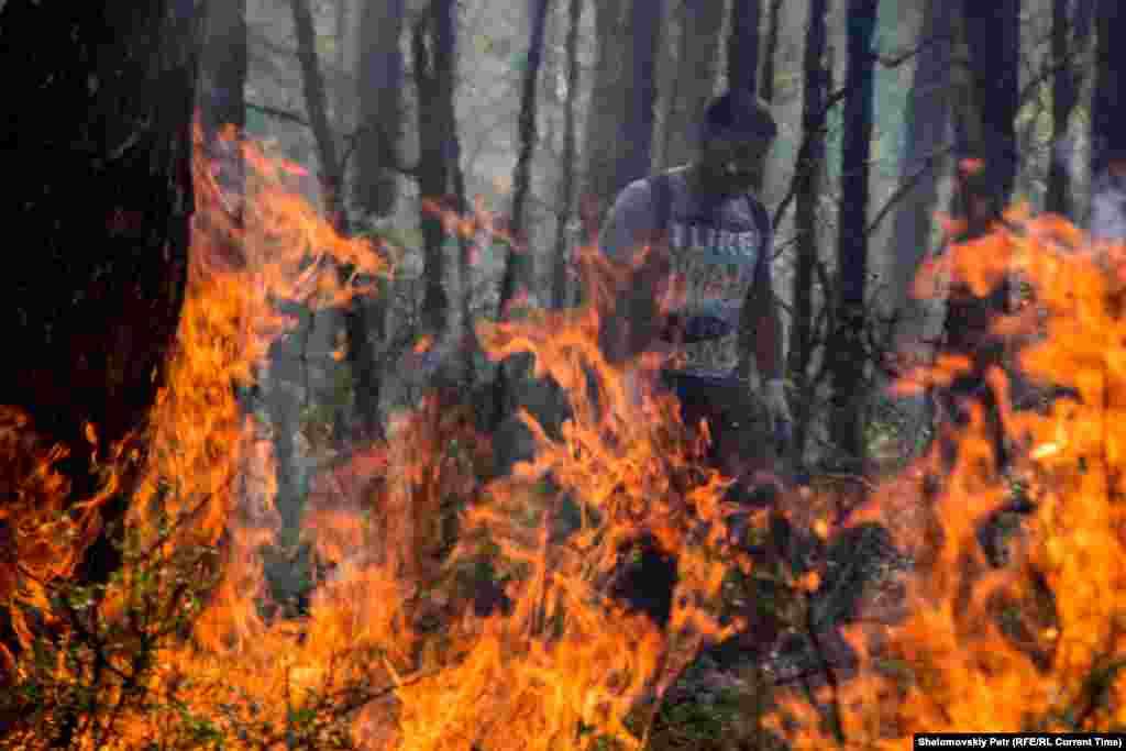 Несмотря на усилия лесников и волонтеров, огонь продолжает распространяться, захватывая новые участки заповедного леса