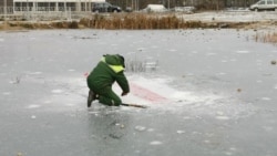 Сотрудник коммунальной службы вырубает бело-красно-белый флаг из-подо льда