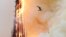 Из-за пожара <a href="https://www.currenttime.tv/a/notre-dama-fire/29882336.html" target="_blank">рухнул шпиль собора</a>. По словам представителя собора, пламя уничтожило все деревянные конструкции, поддерживавшие крышу