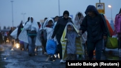 Волонтеры помогают мигрантам пересечь венгерско-австрийскую границу утром 5 сентября