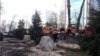 Ташкент протестует против вырубки деревьев