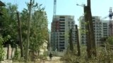 Мэр Тбилиси назвал эколога обезьяной и "сыном ишака". Что его так возмутило?