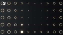 Про чиновников и людей. Вечер с Егором Максимовым