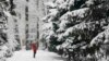 Kazakhstan - A woman uses her mobile phone to take pictures in a snow-covered park in Almaty, Kazakhstan January 24, 2017.