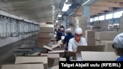 Даже во время пандемии коронавируса работа на ламповом заводе продолжалась. Сентябрь 2020 года