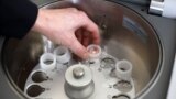 Детали: в поисках лекарства от коронавируса