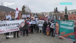 Акции в поддержку Алексея Навального прошли во многих странах мира
