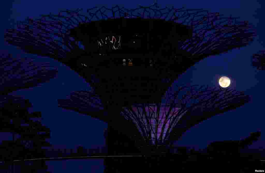 Суперлуна над садом Супертри Гроув в Сингапуре