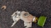 A torn gas mask lies on the road.