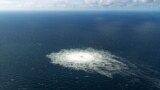 Америка: разведка США о взрывах на "Северных потоках" 