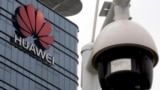 Америка: инаугурация Зеленского и Huawei без Google