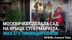 Пенсионерка в Москве много лет растила сад на крыше магазина. Власти узнали о нем и уничтожили за сутки