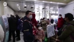 Новости. Коротко