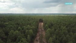 Карты Google обновили вырубленные в Сибири участки леса. Это десятки тысяч гектаров вдоль Ангары
