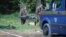 Belarus - Murder of a policema. Photo by Andrei Shauliuha. Mahileu,17May2019