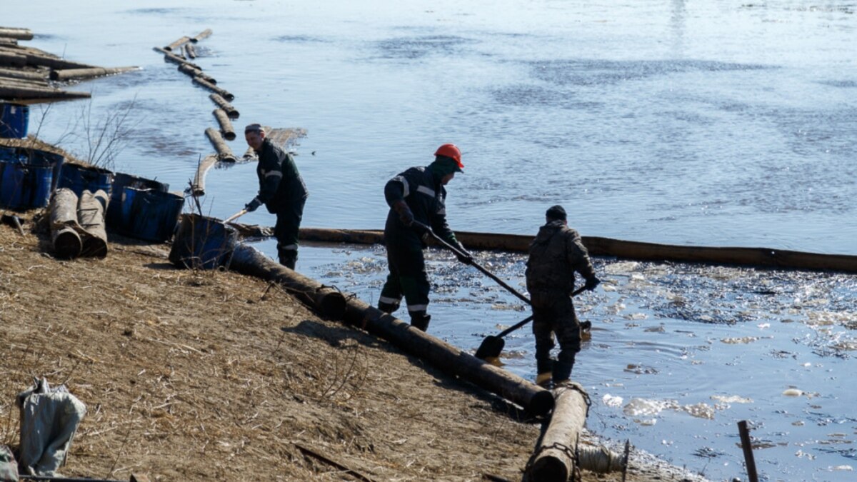 "Нефть на кустах, земле, траве, черная сплошная полоса по обеим берегам ...