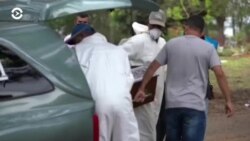 Новости. Коротко