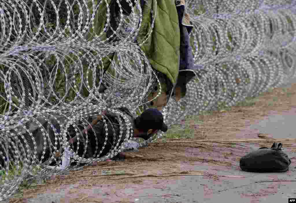 Иммигрант пытается преодолеть проволочное заграждение на венгерско-сербской границе. &nbsp;