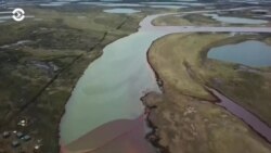 Новости. Коротко