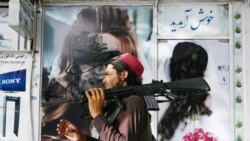 Почему Афганистан пал так быстро? Версии мировых медиа